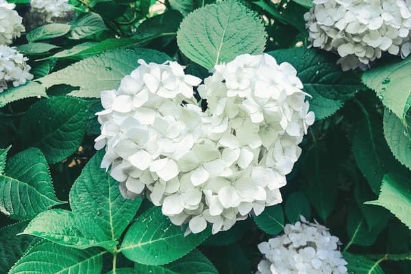 AKB48人気急落の背景